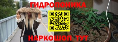 2c-b Обь