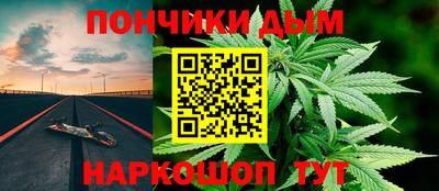 индика Обнинск