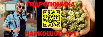 прущие крисы Новозыбков