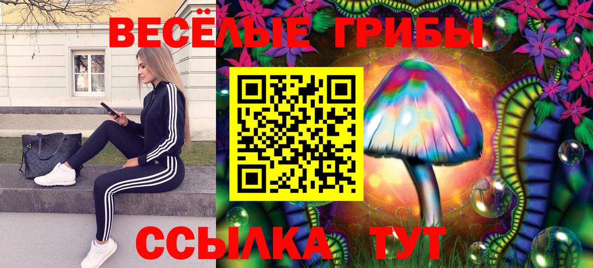 Галлюциногенные грибы мухоморы  Вход с VPN  Северск 